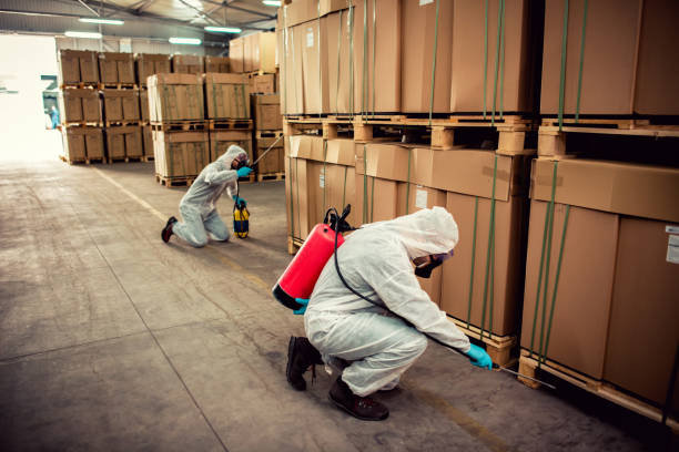 Best Wasp Removal Services  in South Hooksett, NH
