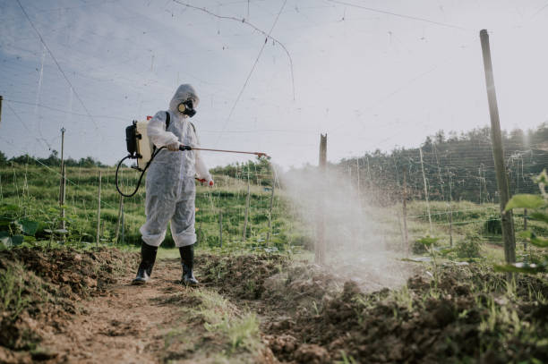 Best Mosquito Control Services  in South Hooksett, NH