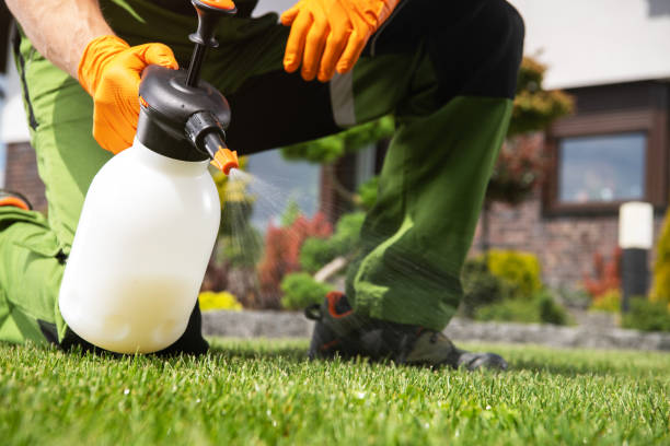 Best Spider Control Near Me  in South Hooksett, NH