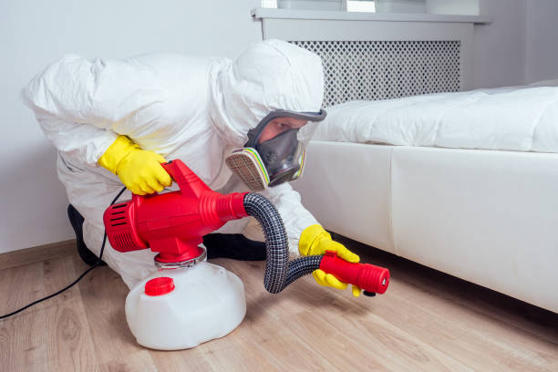 Best Mosquito Control Services  in South Hooksett, NH