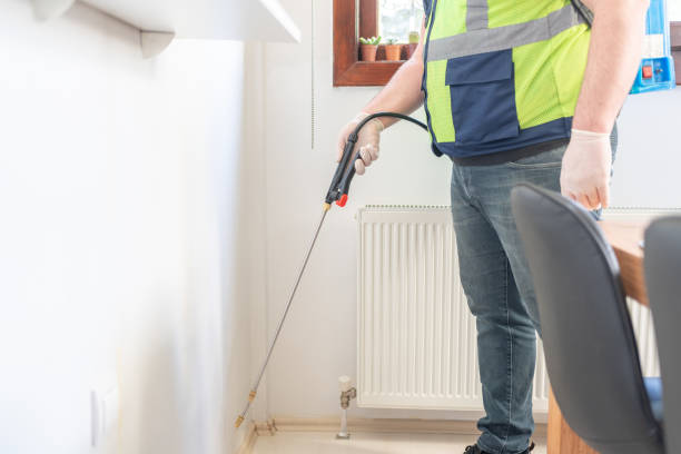 Best Pest Removal Services  in South Hooksett, NH