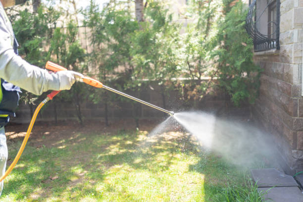 Best Pest Control Near Me  in South Hooksett, NH